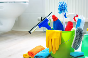 Messie Reinigung Melle